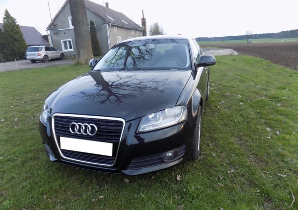 Audi A3 cena 26900 przebieg: 164000, rok produkcji 2010 z Szprotawa małe 407